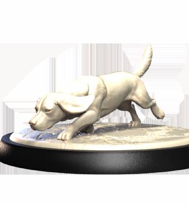 Beagle (2)